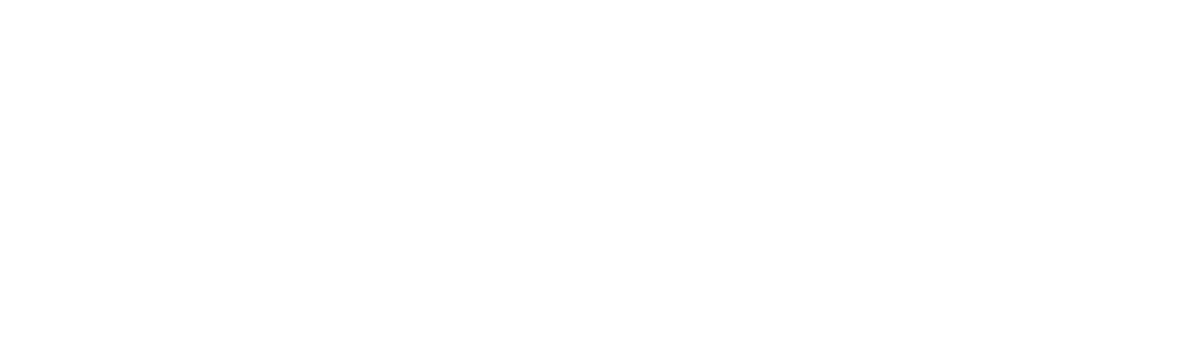 Rappy Logo Footer